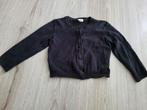 Hema vestje maat 98/104, Gebruikt, Meisje, Trui of Vest, Ophalen of Verzenden