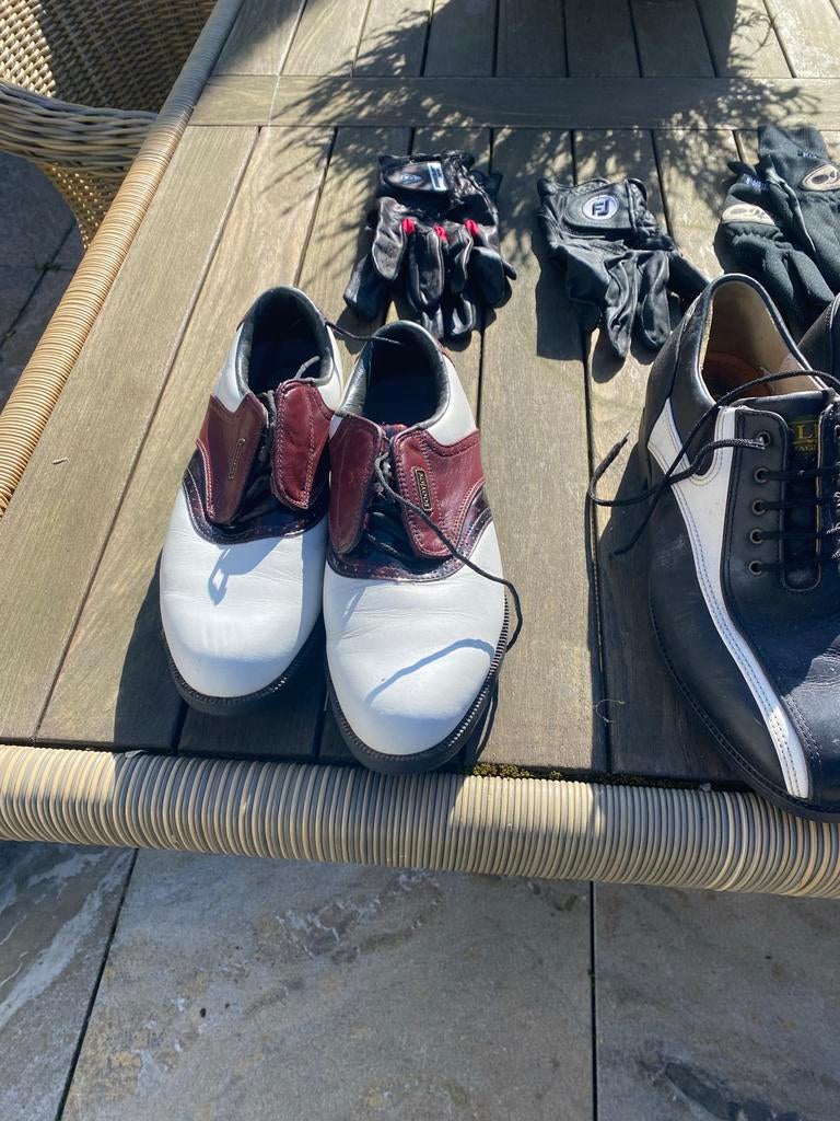 Golfschoenen en handschoenen set, Sport en Fitness, Golf, Ophalen of Verzenden, Gebruikt, Schoenen, Overige merken