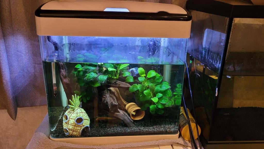 Superfish panorama aquarium wit, Ophalen, Gebruikt, Leeg aquarium, Superfish