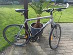 Giant Mountainbike 28 inch XL, Ophalen, Gebruikt, 57 cm of meer, Heren