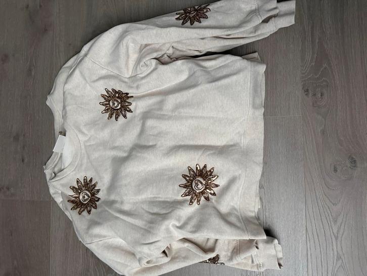 Fabienne Chapot sweater maat L 2 stuks, Kleding | Dames, Truien en Vesten, Gedragen, Maat 42/44 (L), Beige, Ophalen of Verzenden