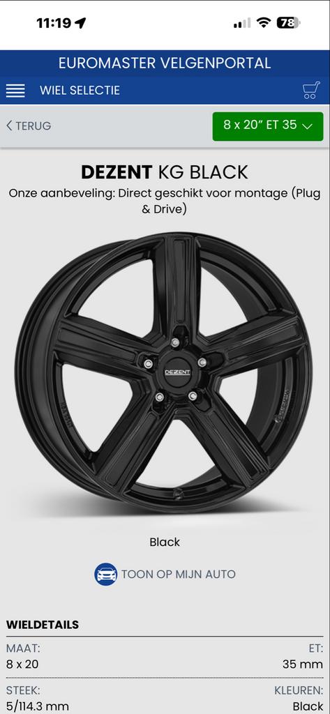 20 inch Dezent velgen met Michelin winterbanden Renault Aust, Auto-onderdelen, Banden en Velgen, Ophalen, Gebruikt, Banden en Velgen