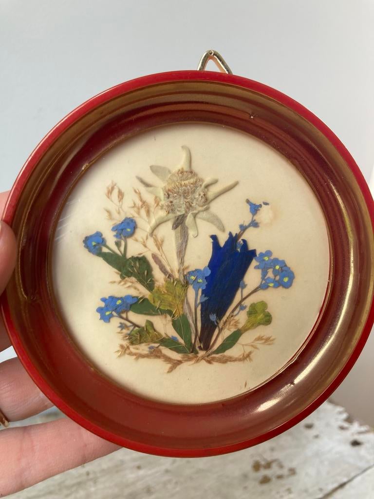 Edelweiss en Vergeet-me-nietjes uit Tirol, Oostenrijk 60ies, Antiek en Kunst, Ophalen of Verzenden