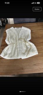 Gilet Studio Anneloes, Ophalen of Verzenden, Zo goed als nieuw, Maat 34 (XS) of kleiner