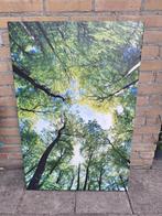 Tuincanvas 60x90 cm, Ophalen, Gebruikt