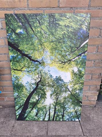 Tuincanvas 60x90 cm beschikbaar voor biedingen