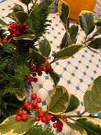 Bonte Hulst takken met rode bessen - Kerstdecoratie, Ophalen of Verzenden, Nieuw