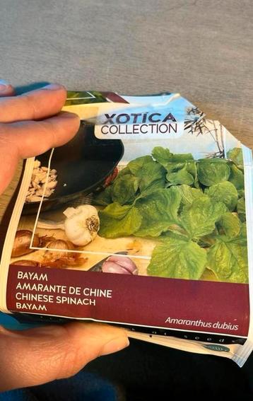 Bayam / Chinese spinazie zaden