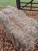 Hooi kleine pakjes 2e snee., Dieren en Toebehoren, Dierenvoeding, Ophalen, Vee