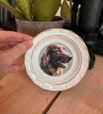 Schoteltje van faithful friends met een ierse setter, Ophalen of Verzenden, Nieuw