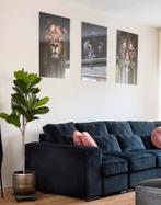 Wallfield glasschilderijen 90x60 “Big Cats”, Antiek en Kunst, Ophalen