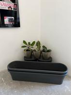 Kunststof Bloembakken - tuin/balkon - Grijs (waaronder Elho), Tuin en Terras, Bloembakken en Plantenbakken, Tuin, Kunststof, Minder dan 30 cm