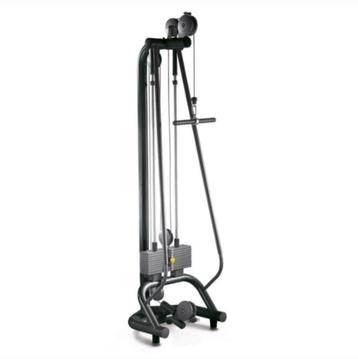 Technogym ercolina 50kg beschikbaar voor biedingen