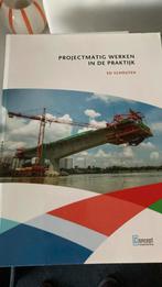 Ed Schouten - Projectmatig werken in de praktijk, Ed Schouten, Sociale wetenschap, Ophalen of Verzenden, Zo goed als nieuw