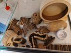 Glazen hamsterhok met toebehoren, Ophalen, Minder dan 75 cm, Hok, Minder dan 60 cm