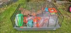 Hamster kooi met accessoires, Dieren en Toebehoren, Kooi, Gebruikt, Minder dan 75 cm, Hamster