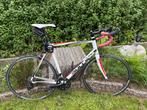 Bulls Desert Falcon 2 - Frame 57, 28 inch, Gebruikt, Heren, Aluminium