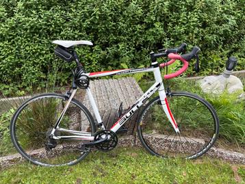 Bulls Desert Falcon 2 - Frame 57 beschikbaar voor biedingen