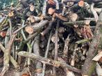 Brandhout, Tuin en Terras, Haardhout, 6 m³ of meer, Ophalen, Essenhout, Stammen