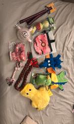 Honden speeltjes, Dieren en Toebehoren, Ophalen, Nieuw, Overig speelgoed