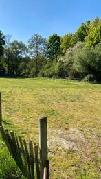 3000m2 weiland te huur rand Eindhoven, Dieren en Toebehoren, Stalling en Weidegang, Weidegang
