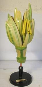 oud botanisch model tarwe Osterloh 17A, Verzenden