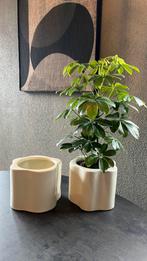 2 nieuwe bloempotten Hema plus 1 plant, Tuin en Terras, Ophalen, Overige vormen, Aardewerk, Binnen