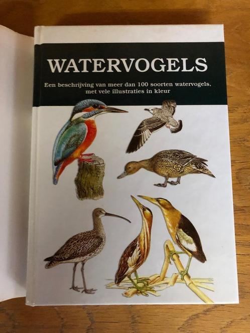 Vogels K. Stastky Boek over watervogels, Boeken, Dieren en Huisdieren, Zo goed als nieuw, Vogels, Ophalen of Verzenden