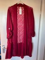 Nieuwe wijnrode kanten vest van new collection 48/50/52/54, Verzenden, Trui of Vest, Nvt, Nieuw