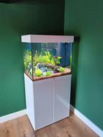 Juwel lido 120, Dieren en Toebehoren, Vissen | Aquaria en Toebehoren, Ophalen, Zo goed als nieuw, Leeg aquarium