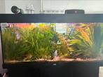 Juwel Rio 180 Aquarium, Dieren en Toebehoren, Vissen | Aquaria en Toebehoren, Ophalen, Zo goed als nieuw