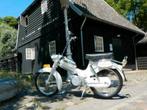 Puch VS 50 L  kikkerbek 1967 ,Oldtimer  (Tomos), Ophalen, Overige modellen, Maximaal 45 km/u, Zo goed als nieuw