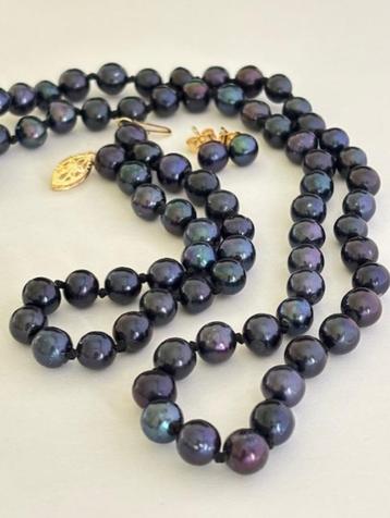 Set Tahitiaanse Peacock Parels Ketting Armband Oorbellen 14K beschikbaar voor biedingen
