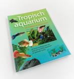 Tropisch aquarium boek €4,00, Boeken, Dieren en Huisdieren, Ophalen of Verzenden, Zo goed als nieuw, Vissen