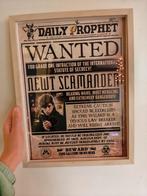 Fantastic Beasts poster (harry Potter), Met lijst, Ophalen of Verzenden, Zo goed als nieuw, A1 t/m A3