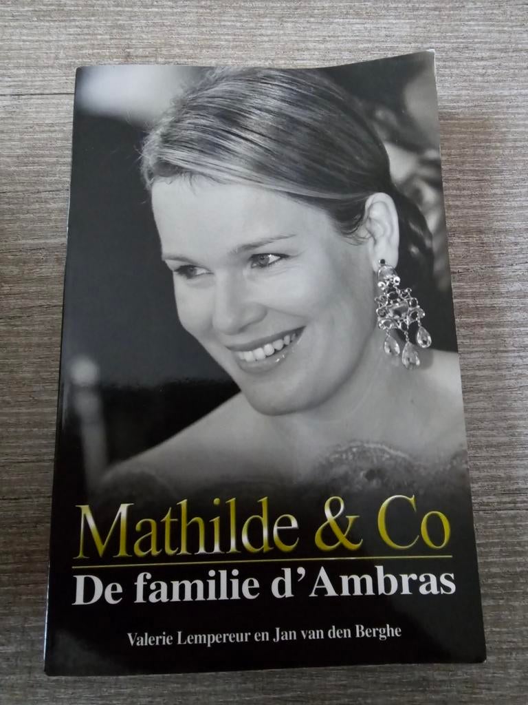 Mathilde & Co - Familie d'Ambras - Gelezen, Ophalen of Verzenden, Gelezen, Valerie Lemperuer en Jan van den Berghe, Overige