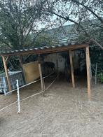 Stalling/weidegang, Dieren en Toebehoren, Stalling en Weidegang, Stalling