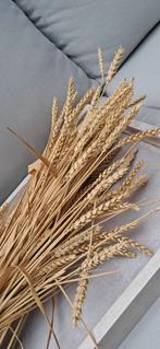 Gedroogde Tarwe Halmen - Decoratie, Ophalen of Verzenden, Zo goed als nieuw