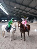 Welsh pony grote B / kleine C, Dieren en Toebehoren, Pony's, Merrie, Gechipt, L, B pony (1.17m tot 1.27m)