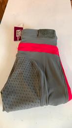 QHP Rijlegging maat 34 nieuw, Ophalen of Verzenden, Nieuw, Dressuur, Onderkleding