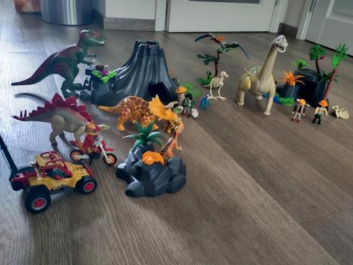 Dino Playmobil hele verzameling, Kinderen en Baby's, Speelgoed | Playmobil, Zo goed als nieuw, Ophalen of Verzenden