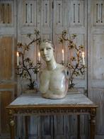 Wassen damesbuste van P.IMANS, Ophalen