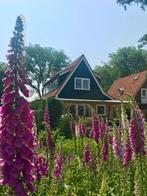 Te huur huis - Avenhorn NH, 50 m² of meer, Overige regio's