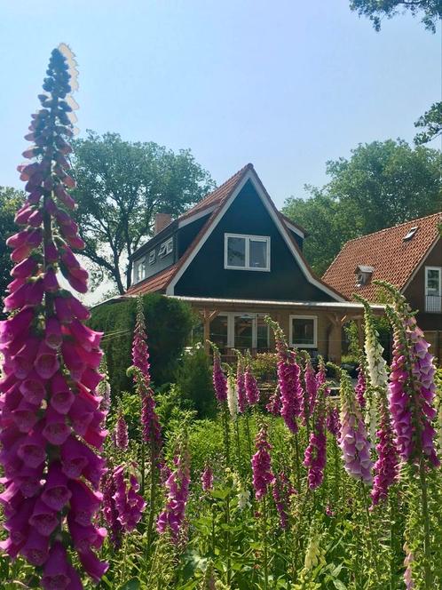 Te huur huis - Avenhorn NH, Huizen en Kamers, Kamers te huur, Overige regio's, 50 m² of meer