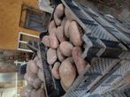 Dikke Mozart aardappelen, Tuin en Terras, Ophalen, Zo goed als nieuw