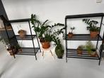 2x Plantenmeubel / plantenrek, Ophalen, Gebruikt