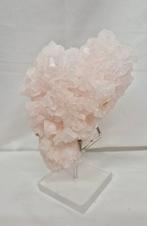 Roze Haliet, Verzenden