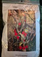 Vilt pakketje Seizoenstafel aardbeienslinger, Hobby en Vrije tijd, Vilt, Ophalen of Verzenden, Nieuw, Figuurtje(s)