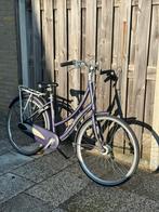 Batavus dames / meisjes fiets paars 7 versnellingen, Ophalen, Gebruikt, 47 tot 50 cm, Versnellingen