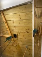 Kakariki parkieten, Dieren en Toebehoren, Vogels | Parkieten en Papegaaien, Meerdere dieren, Parkiet, Geringd